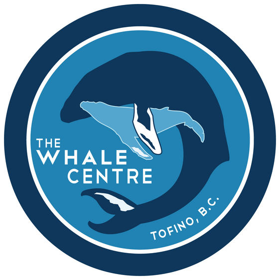 The Whale Centre